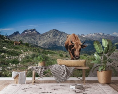 Bild på Khe in den Bergen