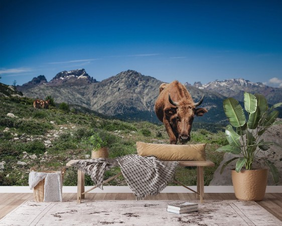 Picture of Khe in den Bergen