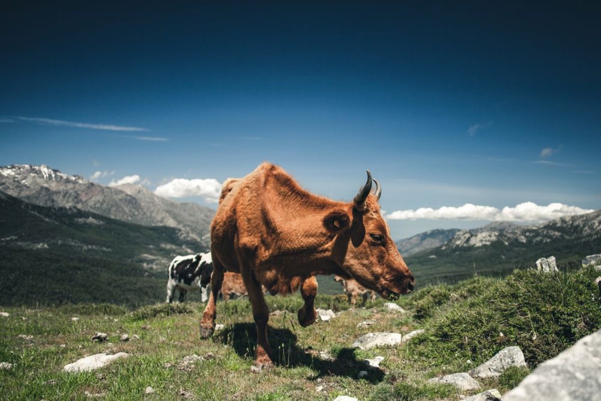 Image de Khe in den Bergen