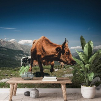 Afbeeldingen van Khe in den Bergen