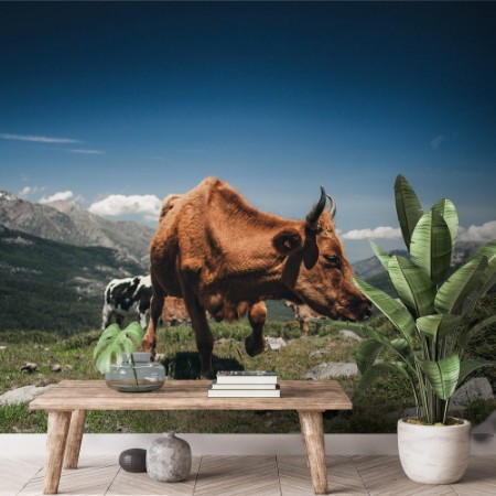 Picture of Khe in den Bergen