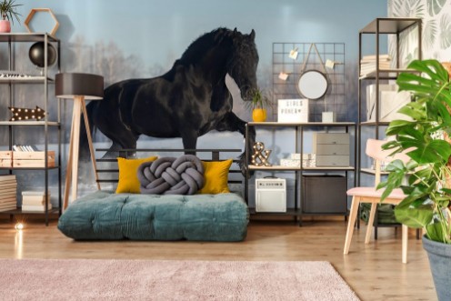 Afbeeldingen van Horse