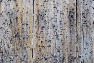 Снимка на Alte Holztr mit Tackerklammern