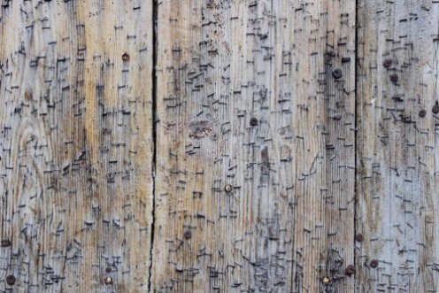 Slika Alte Holztr mit Tackerklammern