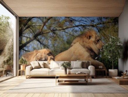 Afbeeldingen van Ehepaar