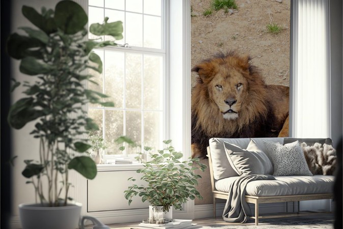 Picture of 259161390