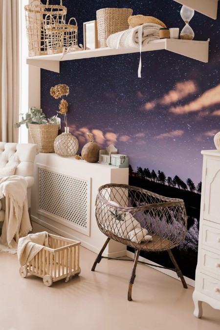 Bild på Starting weak Aurora at almost clear skies tiny clouds like feathers above lake at Scandinavian countryside