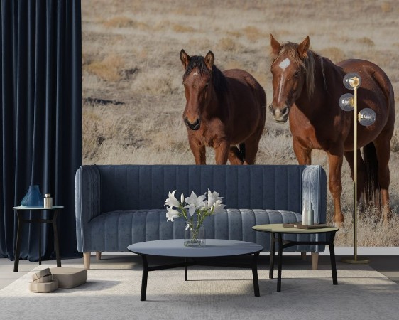 Picture of Wild horse Mare and Foal