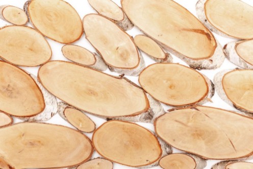 Image de Birkenholz Scheiben