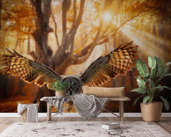 Afbeeldingen van Gray Owl
