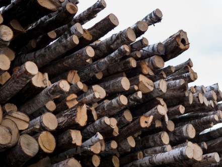 Image de Stack of wood  Different wood raw