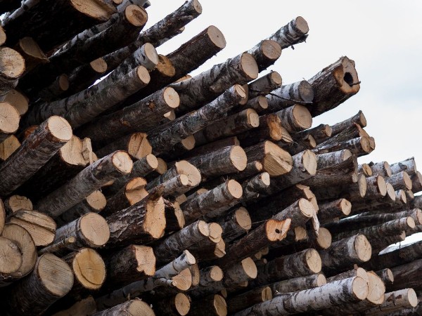 Picture of Stack of wood  Different wood raw