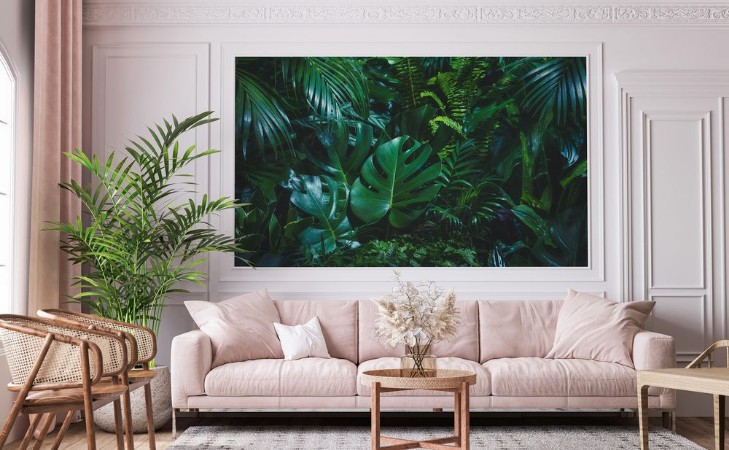 Afbeeldingen van Tropical palm leaves