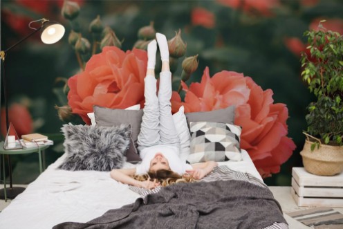 Afbeeldingen van Beautiful bush of tea roses Spring and summer flower  Rose garden Nature and botany theme