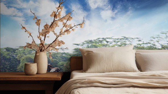 Afbeeldingen van Zebra