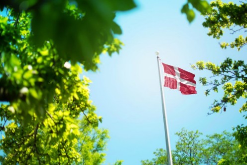 Picture of Denmark flag Danish flag waving in the wind between trees