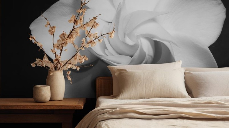 Picture of Gardenia Flower in Full Bloom High Resolution