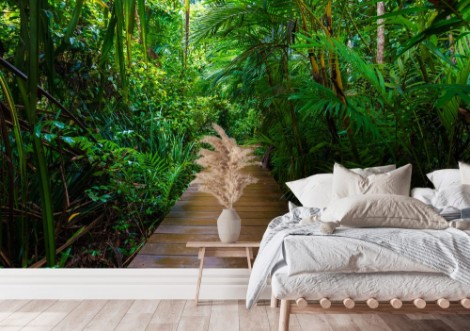 Picture of Wooden pathway in deep green mangrove forest