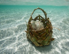 Afbeeldingen van Kenia Africa   Photo  Herby Meseritsch