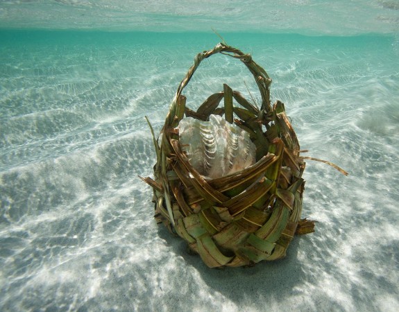 Image de Kenia Africa   Photo  Herby Meseritsch