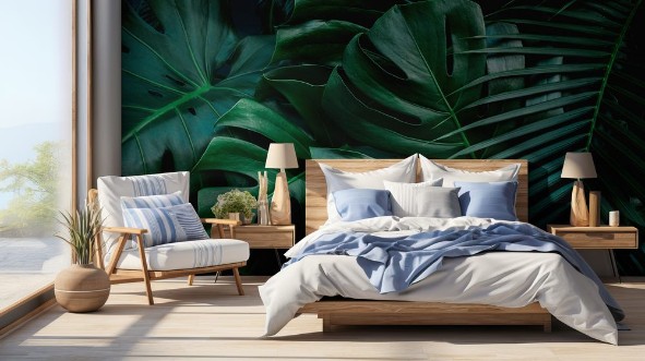 Image de Monstera Leaves