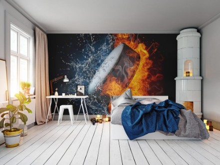 Afbeeldingen van Hockey Puck