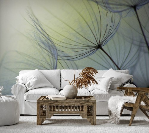 Picture of Dandelion seed