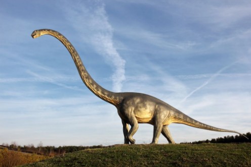 Afbeeldingen van Dinosaurier