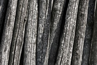 Bild vun Vecchi pali della vigna tronchi texture