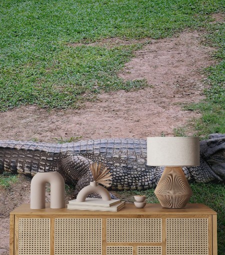 Picture of Crocodile