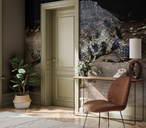 Picture of Crocodile resting