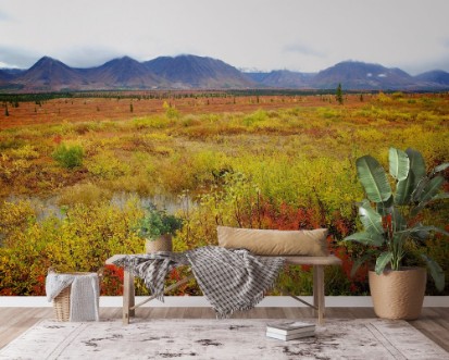 Afbeeldingen van Fall Colors in Alaska