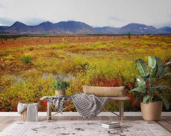 Imagem de Fall Colors in Alaska