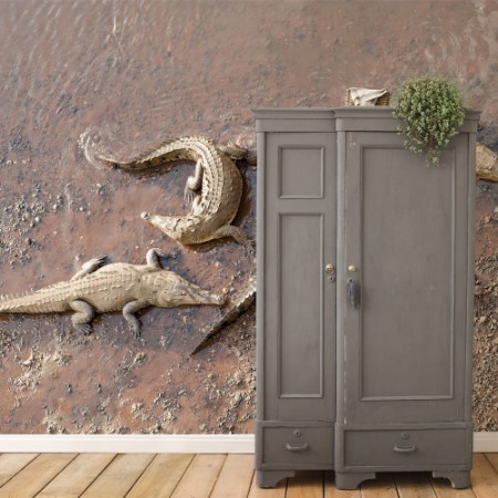 Bild på American Crocodiles