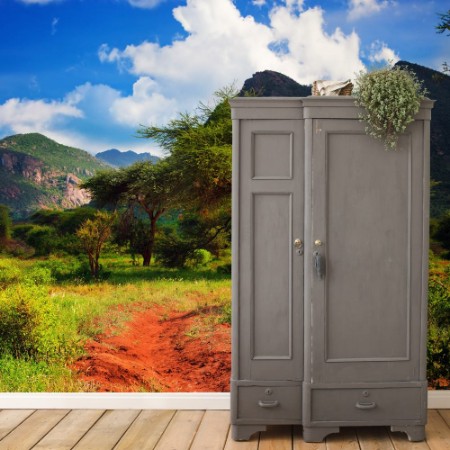 Picture of Red ground road bush with savanna Tsavo West Kenya Africa