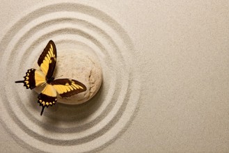 Picture of Zen stone with butterfly