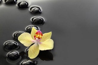 Picture of Black Zen stones and orchid on calm water background