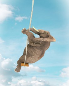 Attēls Elephant Swing