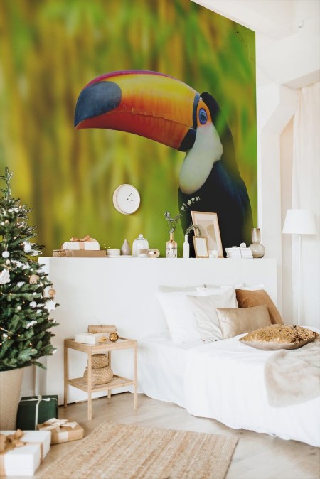 Afbeeldingen van Colorful Toucan Bird