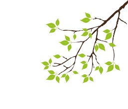 Immagine di Vector tree branch with green leaves