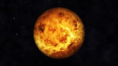 Bild von Venus