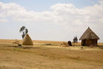 Obrázok z African rural life