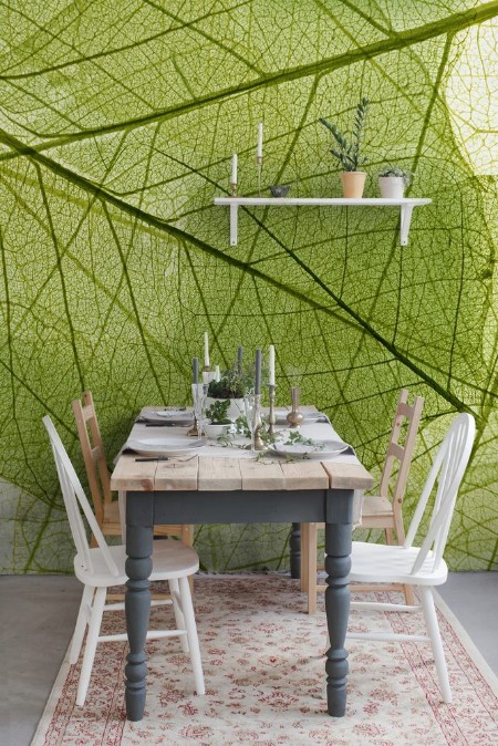 Image de Leaves background