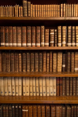 Picture of Livres dans une bibliothque