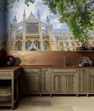 Afbeeldingen van Westminister Abbey catedral from below London