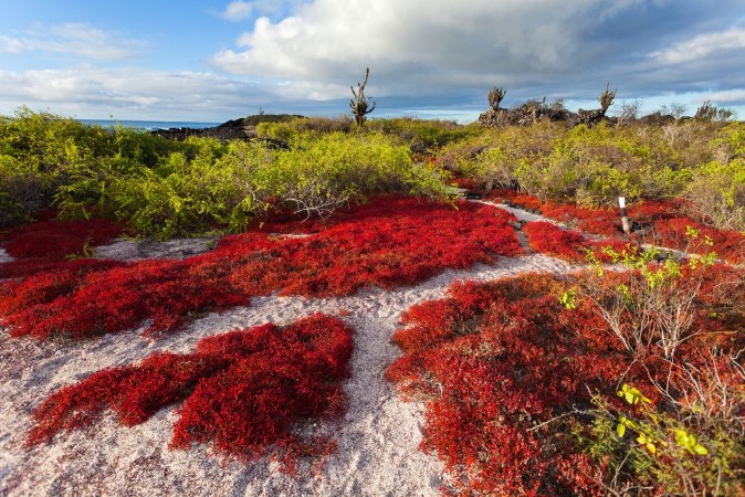 Afbeeldingen van Galapagos islands