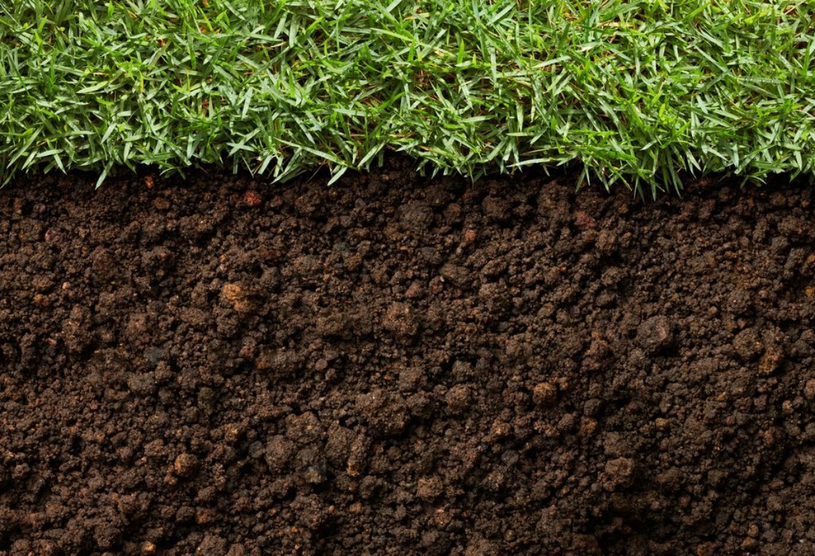 Image de Grass and dirt