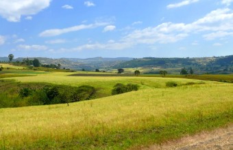 Picture of Africa Ethiopia Landscape of the African nature Mountains va