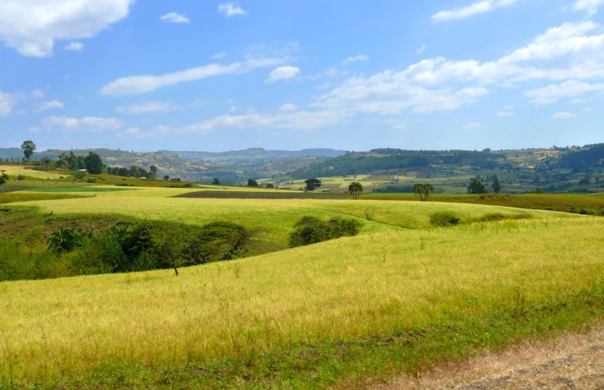 Picture of Africa Ethiopia Landscape of the African nature Mountains va