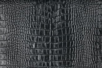 Afbeeldingen van Natural crocodile skin